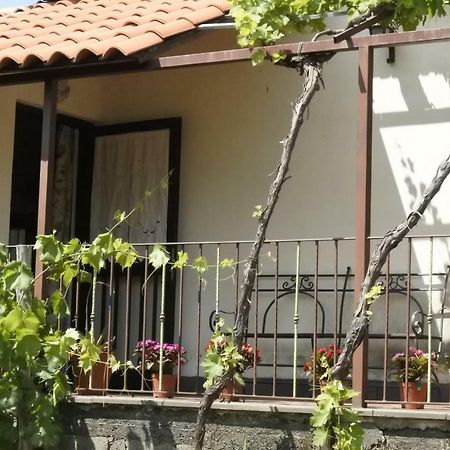Casa Vacanza Etna Evergreen Villa Piedimonte Etneo Dış mekan fotoğraf