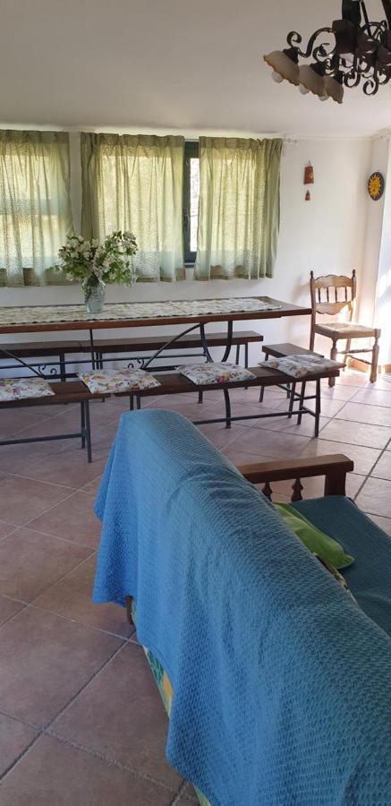 Casa Vacanza Etna Evergreen Villa Piedimonte Etneo Dış mekan fotoğraf