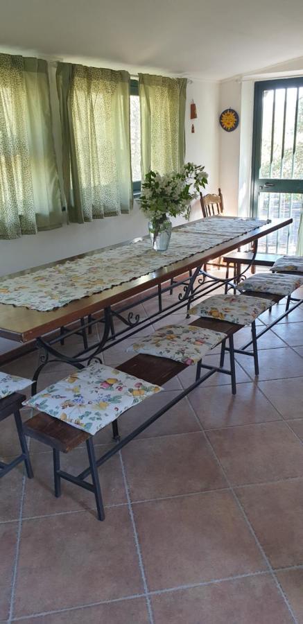Casa Vacanza Etna Evergreen Villa Piedimonte Etneo Dış mekan fotoğraf