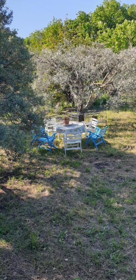 Casa Vacanza Etna Evergreen Villa Piedimonte Etneo Dış mekan fotoğraf