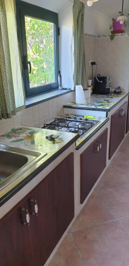 Casa Vacanza Etna Evergreen Villa Piedimonte Etneo Dış mekan fotoğraf