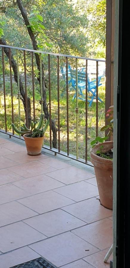 Casa Vacanza Etna Evergreen Villa Piedimonte Etneo Dış mekan fotoğraf