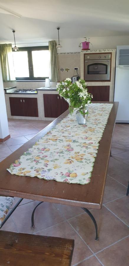 Casa Vacanza Etna Evergreen Villa Piedimonte Etneo Dış mekan fotoğraf