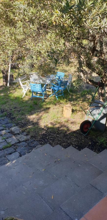 Casa Vacanza Etna Evergreen Villa Piedimonte Etneo Dış mekan fotoğraf