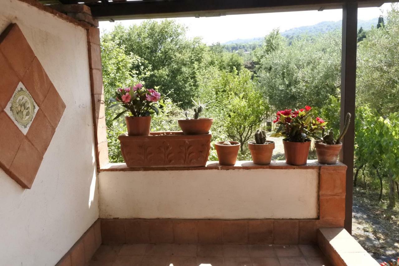 Casa Vacanza Etna Evergreen Villa Piedimonte Etneo Dış mekan fotoğraf