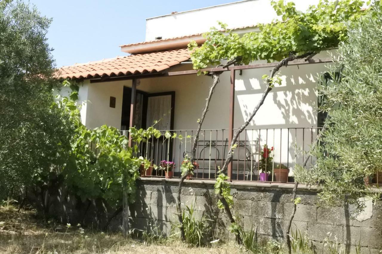 Casa Vacanza Etna Evergreen Villa Piedimonte Etneo Dış mekan fotoğraf