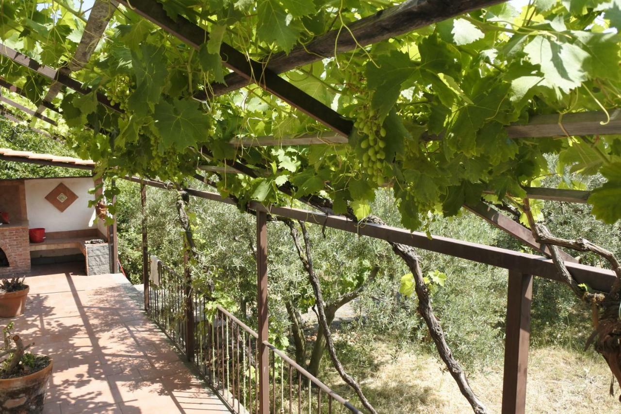 Casa Vacanza Etna Evergreen Villa Piedimonte Etneo Dış mekan fotoğraf