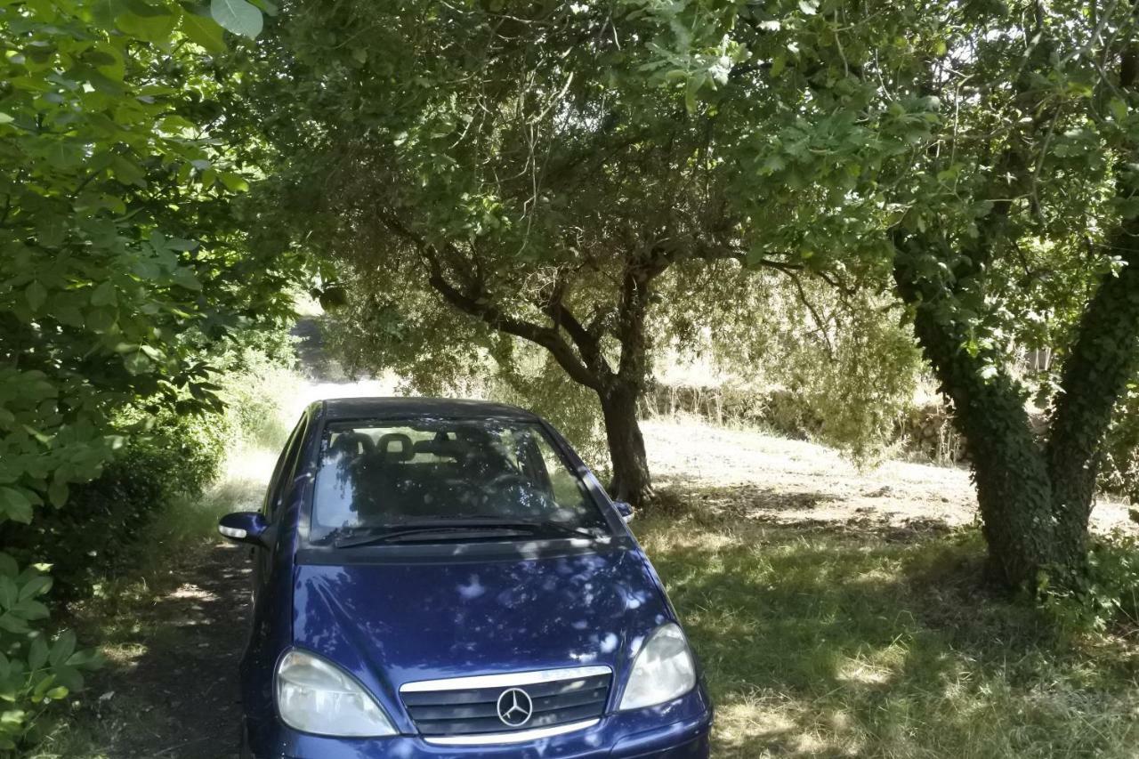 Casa Vacanza Etna Evergreen Villa Piedimonte Etneo Dış mekan fotoğraf